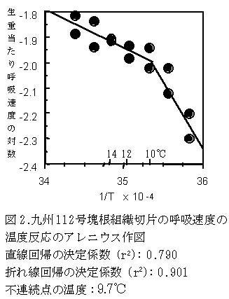 図2 九州112号塊根組織切片の呼吸速度の温度反応のアレニウス作図