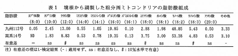 表1.塊根から調製した粗分画ミトコンドリアの脂肪酸組成