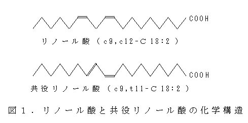 図1 リノール酸と共役リノール酸の化学構造