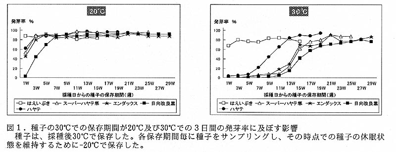 図1 種子の摂氏30度での保存期間が摂氏20度及び摂氏30度での3日間の発芽率に及ぼす影響