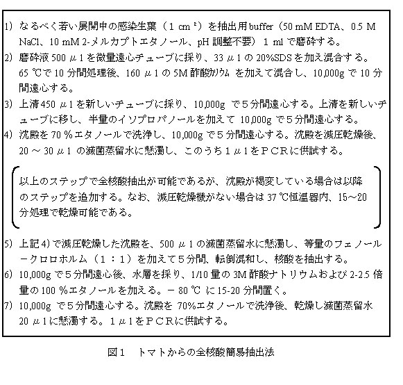 図1 トマトからの全核酸簡易抽出法
