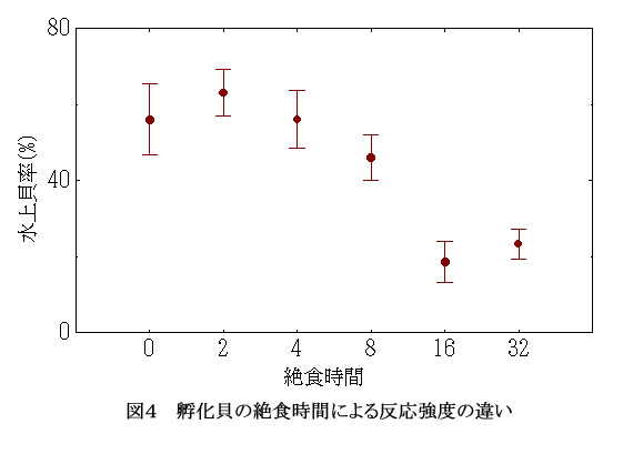 図4 孵化貝の絶食時間による反応強度の違い