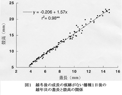 図1 越冬後の成長の痕跡がない播種1日後の越年貝の蓋長と殻高の関係