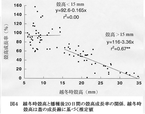 図4 越冬時殻高と播種後20日間の殻高成長率の関係.越冬時殻高は蓋の成長線に基づく推定値