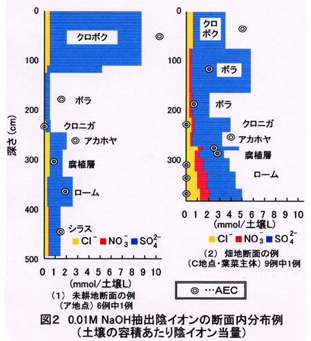 図2  0.01M NaOH抽出イオンの断面内分布例(土壌の容積あたり陰イオン当量)