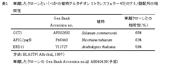 表1 単離したクローンといくつかの植物グルタチオンSトランスフェラーゼとのアミノ酸配列の相同性
