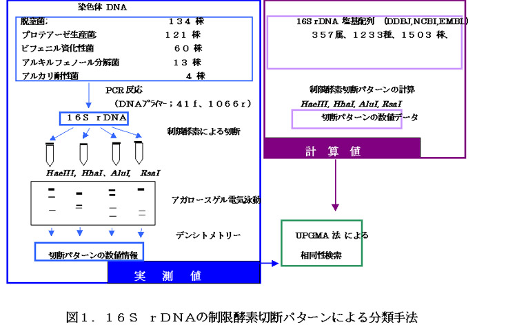 表1.