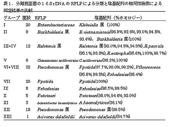 表1 分離脱窒菌の16S rDNAのRFLPによる分類と塩基配列の相同性検索による同定結果の比較
