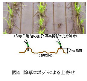 図4 除草ロボットによる土寄せ