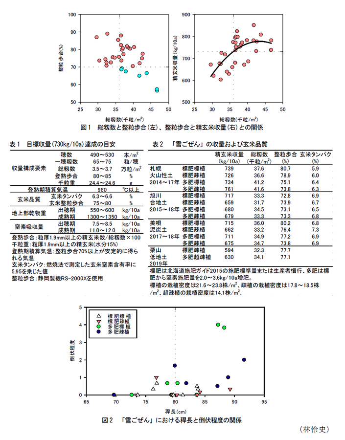 図1 総籾数と整粒歩合(左)、整粒歩合と精玄米収量(右)との関係,表1 目標収量(730kg/10a)達成の目安,表2 「雪ごぜん」の収量および玄米品質,図2 「雪ごぜん」における稈長と倒伏程度の関係