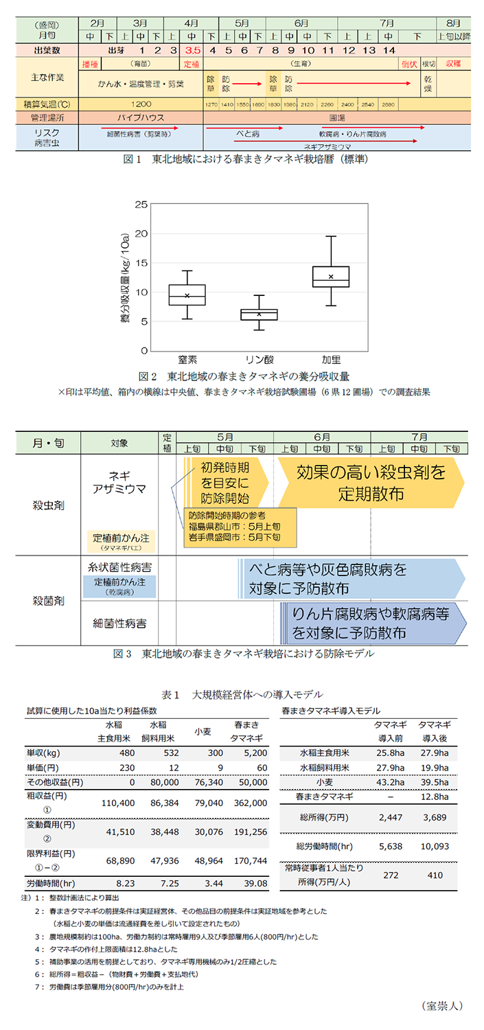 図1 東北地域における春まきタマネギ栽培暦(標準),図2 東北地域の春まきタマネギの養分吸収量,図3 東北地域の春まきタマネギ栽培における防除モデル,表1 大規模経営体への導入モデル