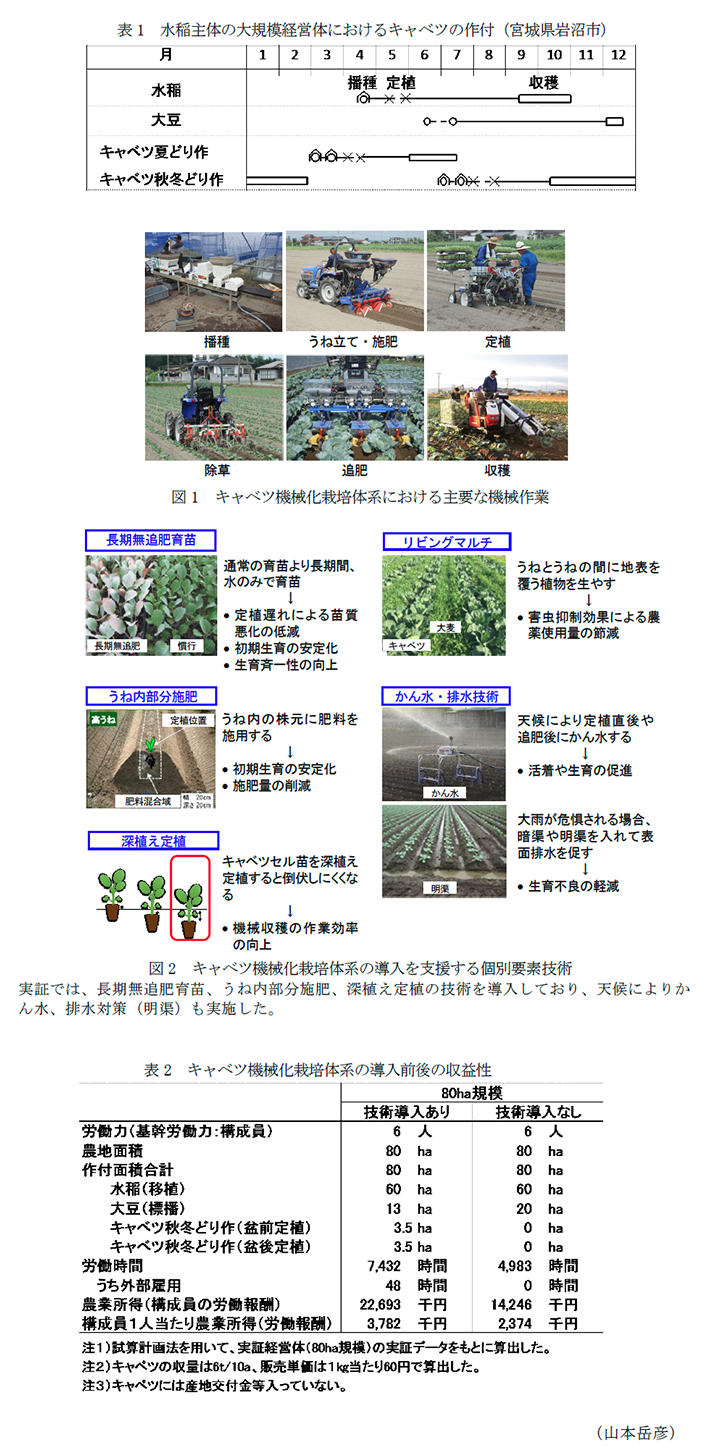 図1 キャベツ機械化栽培体系における主要な機械作業,図2 キャベツ機械化栽培体系の導入を支援する個別要素技術,表2 キャベツ機械化栽培体系の導入前後の収益性