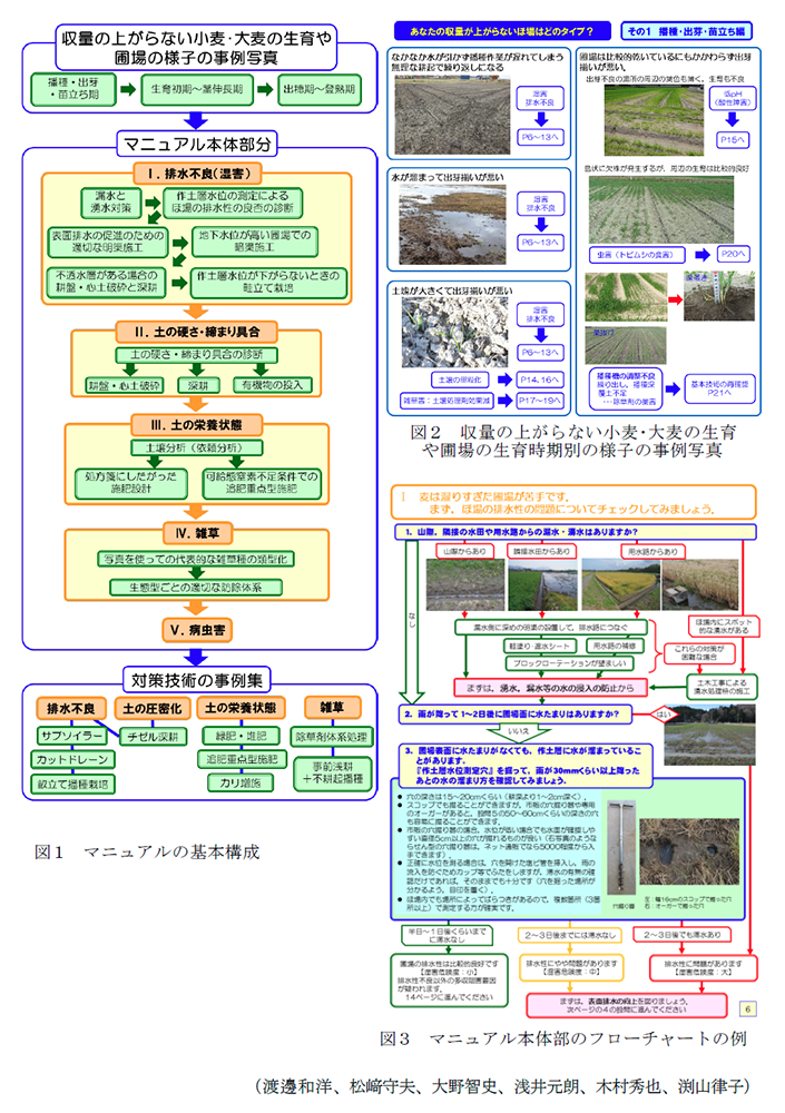 図1 マニュアルの基本構成,図2 収量の上がらない小麦・大麦の生育や圃場の生育時期別の様子の事例写真,図3 マニュアル本体部のフローチャートの例
