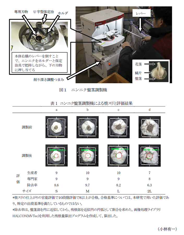 図1 ニンニク盤茎調製機,表1 ニンニク盤茎調製機による根スリと評価結果