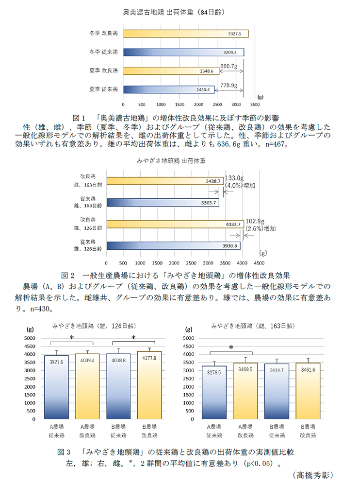 図1 「奥美濃古地鶏」の増体性改良効果に及ぼす季節の影響,図2 一般生産農場における「みやざき地頭鶏」の増体性改良効果,図3 「みやざき地頭鶏」の従来鶏と改良鶏の出荷体重の実測値比較