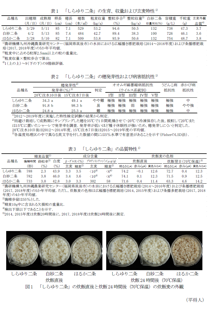 表1 「しらゆり二条」の生育、収量および玄麦特性,表2 「しらゆり二条」の穂発芽性および病害抵抗性,表3 「しらゆり二条」の品質特性,図1 「しらゆり二条」の炊飯直後と炊飯24時間後(70°C保温)の炊飯麦の外観