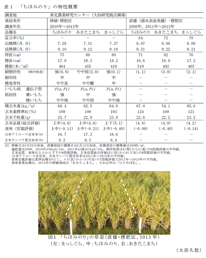 表1 「ちほみのり」の特性概要,図1 「ちほみのり」の草姿(直播・標肥区、2013年)