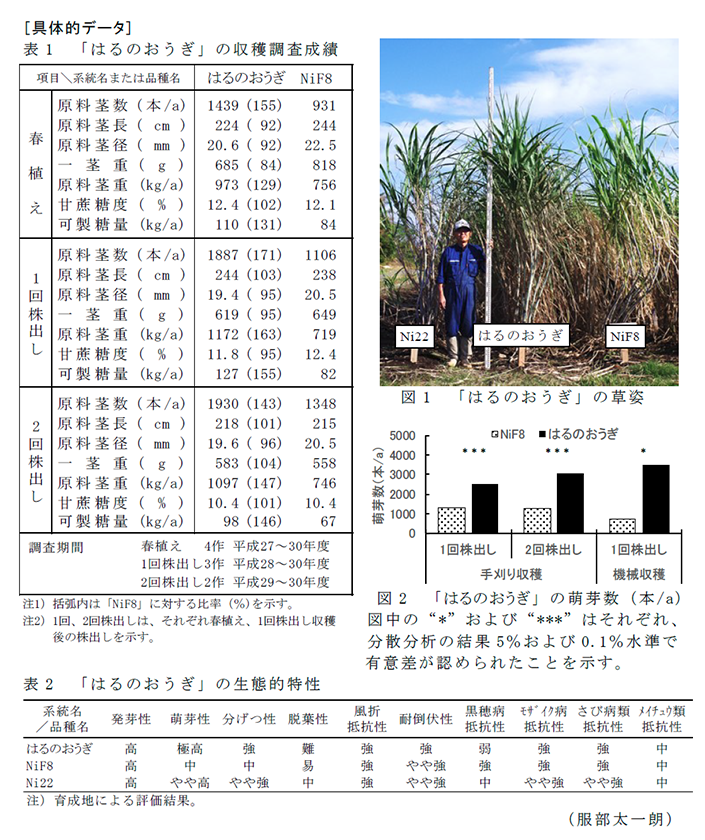 表1 「はるのおうぎ」の収穫調査成績,図1 「はるのおうぎ」の草姿,図2 「はるのおうぎ」の萌芽数(本/a),表2 「はるのおうぎ」の生態的特性