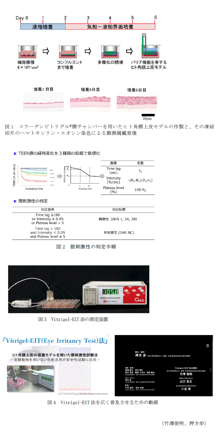 図1 コラーゲンビトリゲル膜チャンバーを用いたヒト角膜上皮モデルの作製と、その凍結切片のヘマトキシリン・エオシン染色による顕微鏡観察像,図2 眼刺激性の判定手順,図3 Vitrigel-EIT法の測定装置,図4 Vitrigel-EIT法を広く普及させるための動画