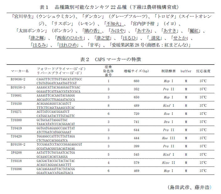 表1 品種識別可能なカンキツ22品種(下線は農研機構育成),表2 CAPSマーカーの特徴