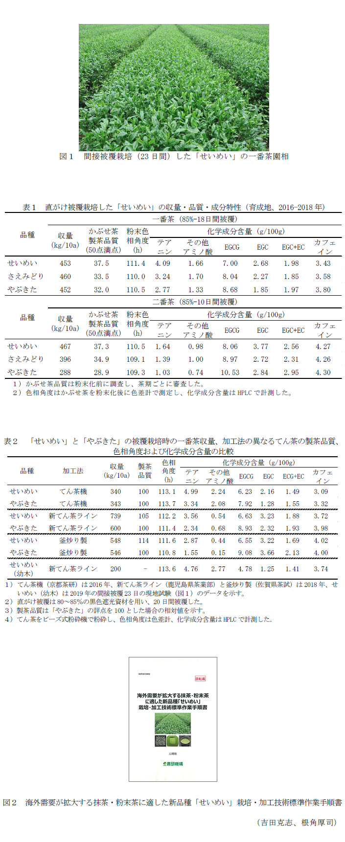 図1 間接被覆栽培(23日間)した「せいめい」の一番茶園相,表1 直がけ被覆栽培した「せいめい」の収量・品質・成分特性 (育成地、2015-2017年),表2 「せいめい」と「やぶきた」の被覆栽培時の一番茶収量、加工法の異なるてん茶の製茶品質、色相角度および化学成分含量の比較,図2「せいめい」の栽培・加工技術マニュアル