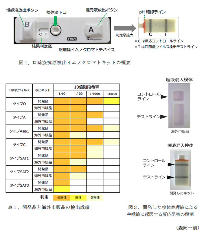 図1、口蹄疫抗原検出イムノクロマトキットの概要,表1、開発品と海外市販品の検出成績,図3、開発した検体処理液による
牛唾液に起因する反応阻害の解消