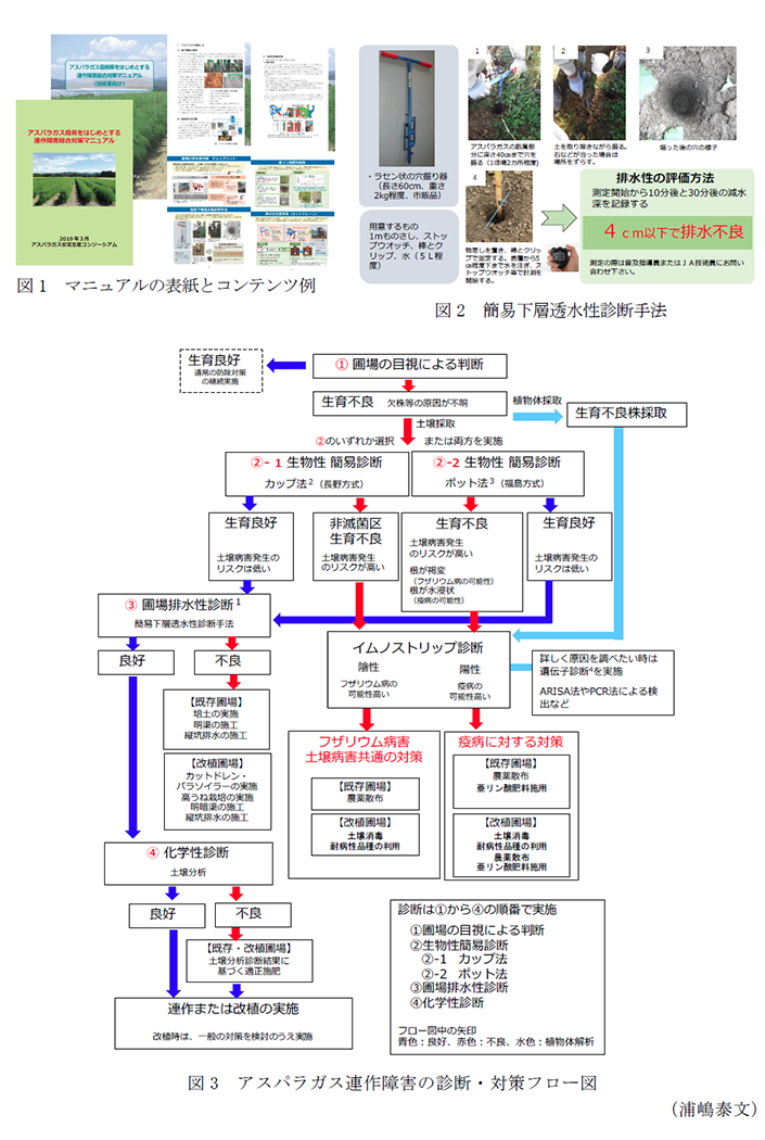 アスパラガス疫病をはじめとする連作障害総合対策マニュアル 農研機構