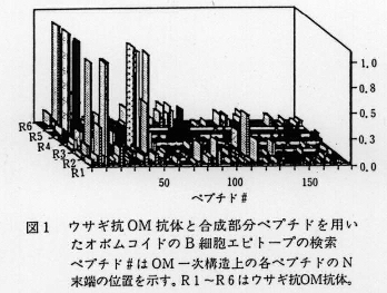 図1.ウサギ抗OM抗体と合成部分ペプチドを用いたオボムコイドのB細胞エピトープの検索