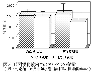 図2.畦面硬化栽培でのキャベツの収量(9月上旬定植-12月中旬収穫結球重の標準偏差n=20)