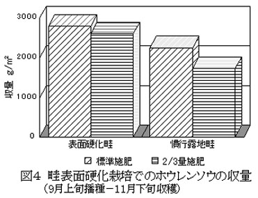 図4.畦表面硬化栽培でのホウレンソウの収量(9月上旬播種-11月下旬収穫)