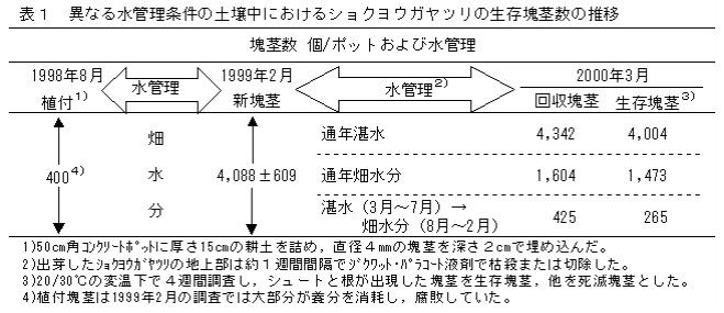 表1 異なる水管理条件の土壌中におけるショクヨウガヤツリの生存塊茎数の推移