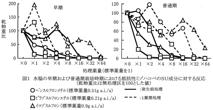 図1 水稲の早期および普通期栽培時期における抵抗性ミゾハコベのSU成分に対する反応