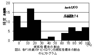 図2 各F3系統のトビイロウンカ抵抗性個体の割合のヒストグラム