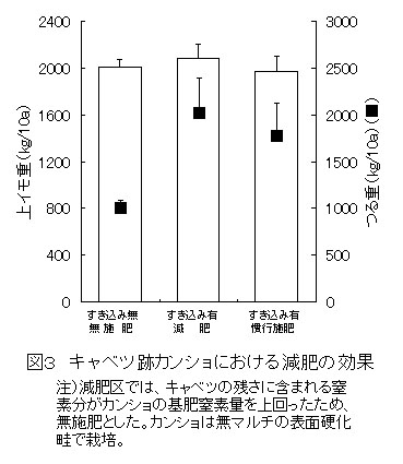 図3 キャベツ跡カンショにおける減肥の効果