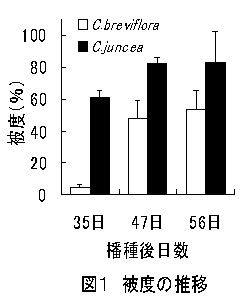 図1 被度の推移