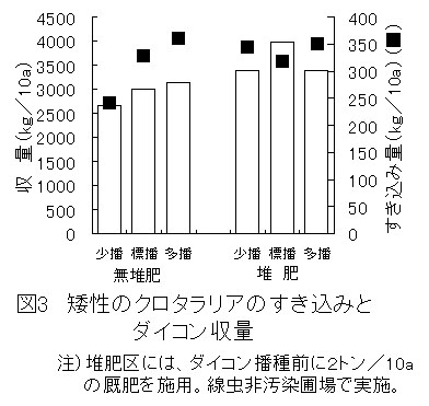 図3 矮性のクロタラリアのすき込みとダイコン収量