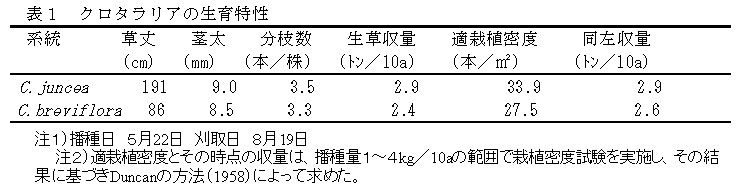 表1 クロタラリアの生育特性