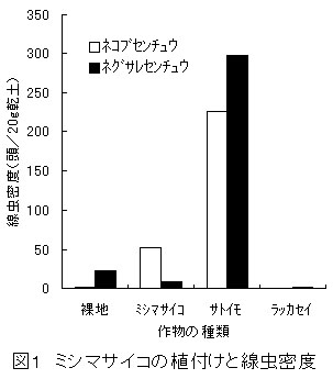 図1 ミシマサイコの植付けと線虫密度