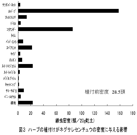 図3 ハーブの植付けがネグサレセンチュウの密度に与える影響