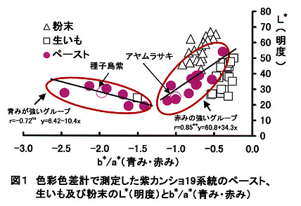 図1 色彩色差計で測定した紫カンショ19系統のペースト、生いも及び粉末のL*(明度)とb*/a*(青み・赤み)