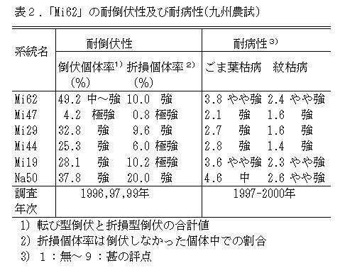 表2 「Mi62」の耐倒伏性及び耐病性(九州農試)