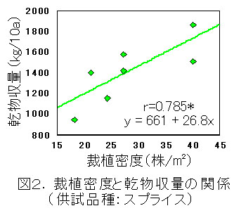 図2 栽植密度と乾物収量の関係