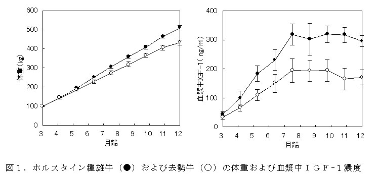 図1 ホルスタイン種雄牛(●)および去勢牛(○)の体重および血漿中IGF-1濃度