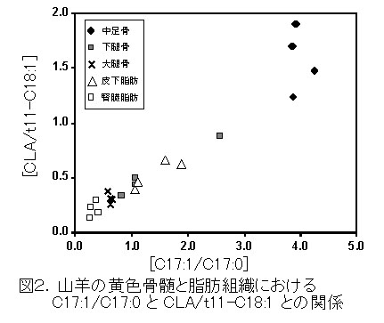 図2 山羊の黄色骨髄と脂肪組織におけるC17:1/C17:0とCLA/t11-C18:1との関係