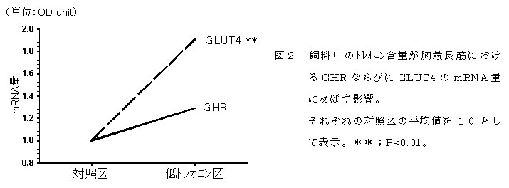 図2 飼料中のトレオニン含量が胸最長筋におけるGHRならびにGLUT4のmRNA量に及ぼす影響