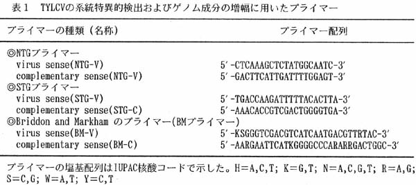 表1 TYLCVの系統特異的検出およびゲノム成分の増幅に用いたプライマー