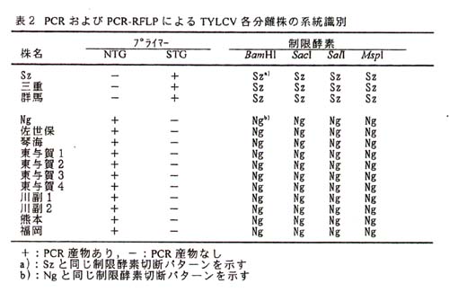 表2 PCRおよぴPCR-RFLPによるTYLCV各分離株の系統識別