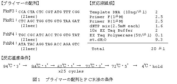 図1 プライマーの配列とPCR法の条件