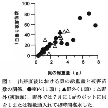 図1 出芽直後における貝の総重量と被害苗数の関係.