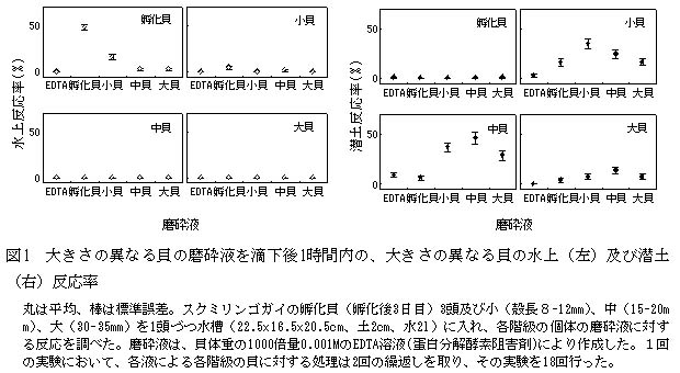 図1 大きさの異なる貝の磨砕液を滴下後1時間内の、大きさの異なる貝の水上(左)及び潜土(右)反応率